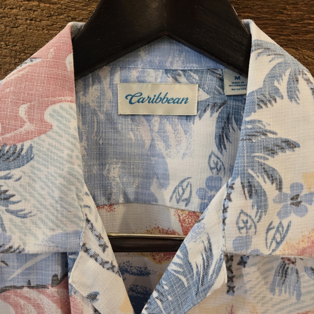 Caribbean ๐น๐ - Picture 3 of 6